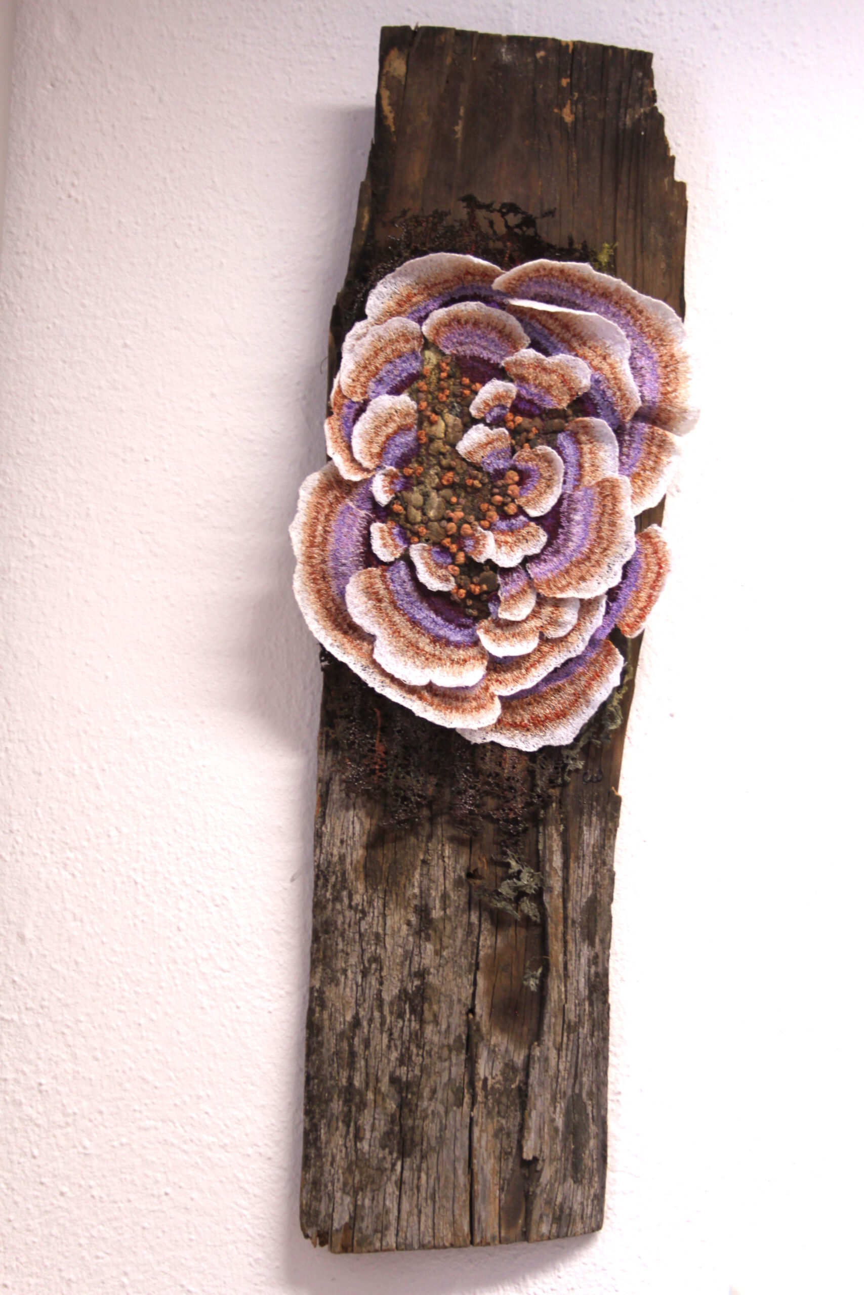 Baumpilz 1, 65 x 23 x 3 cm, 2023