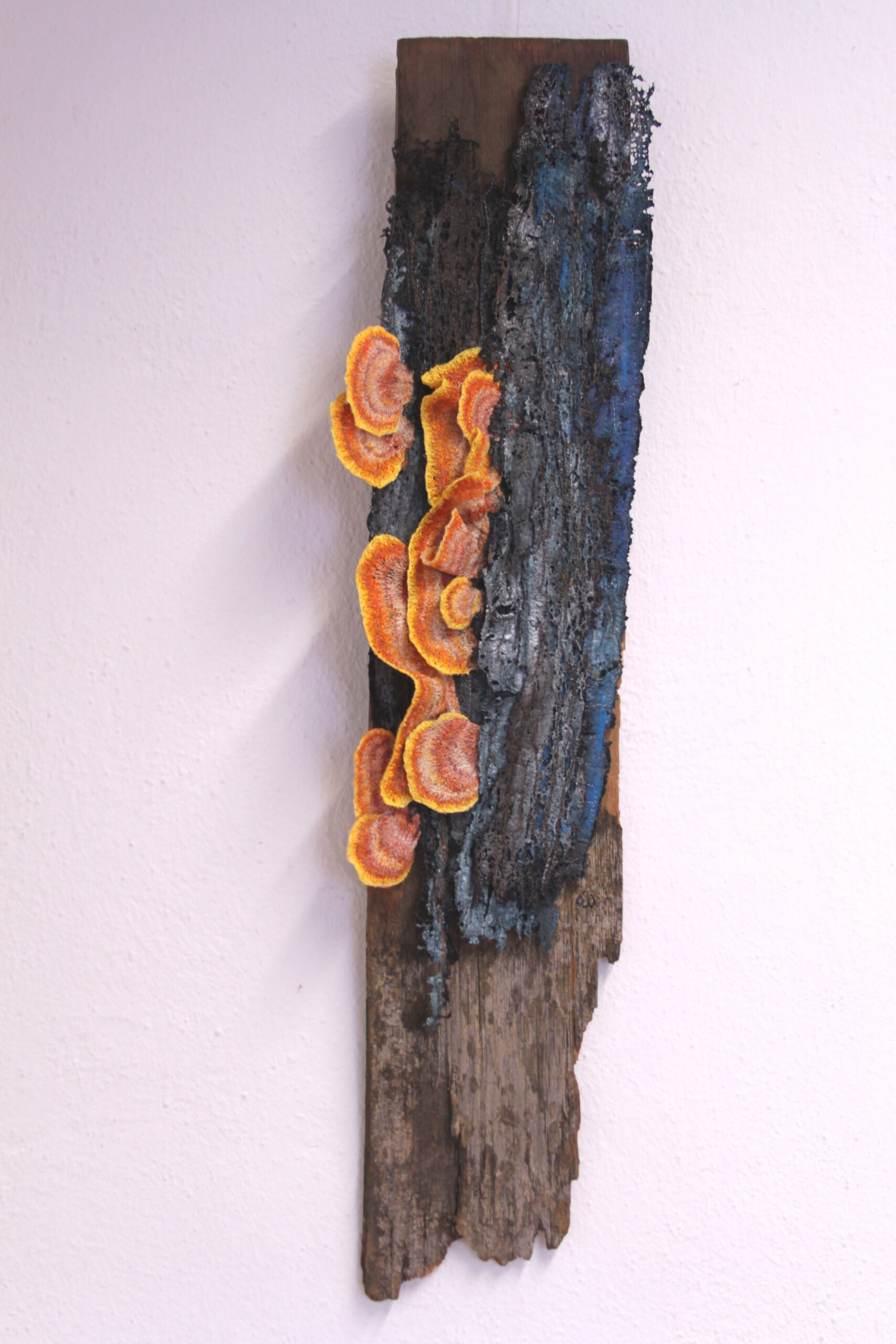 Baumpilz 2, 76 x 20 x 3 cm, 2023