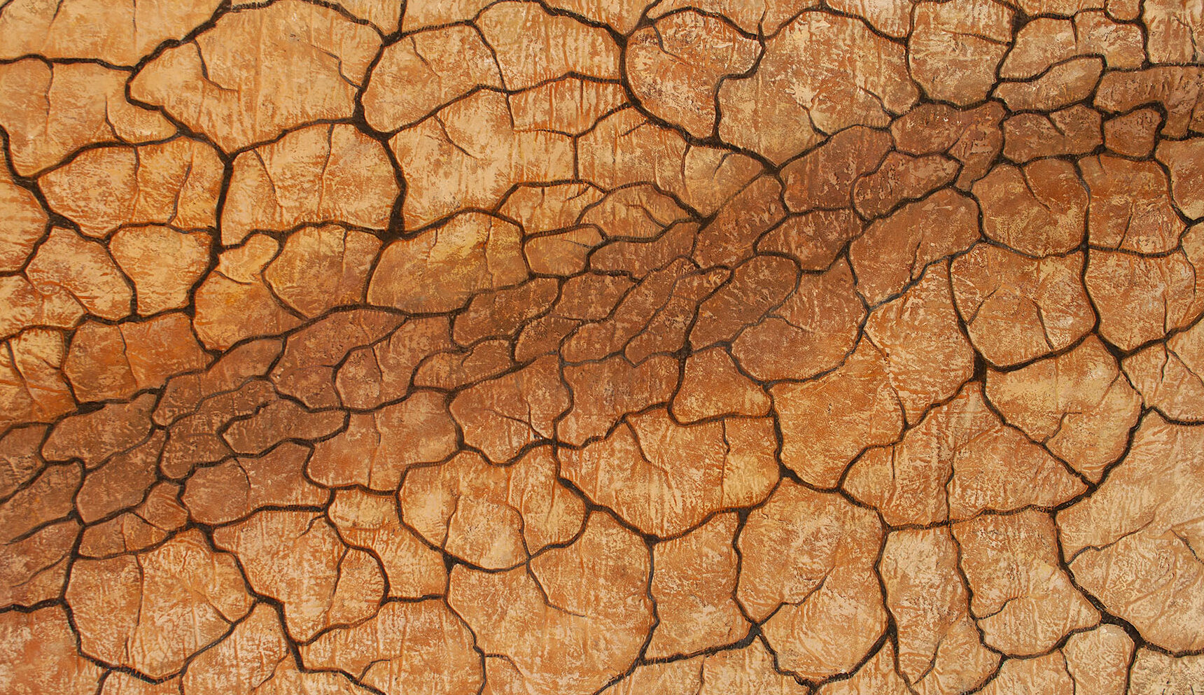 Drought 1, 80 x 132 cm, 2022