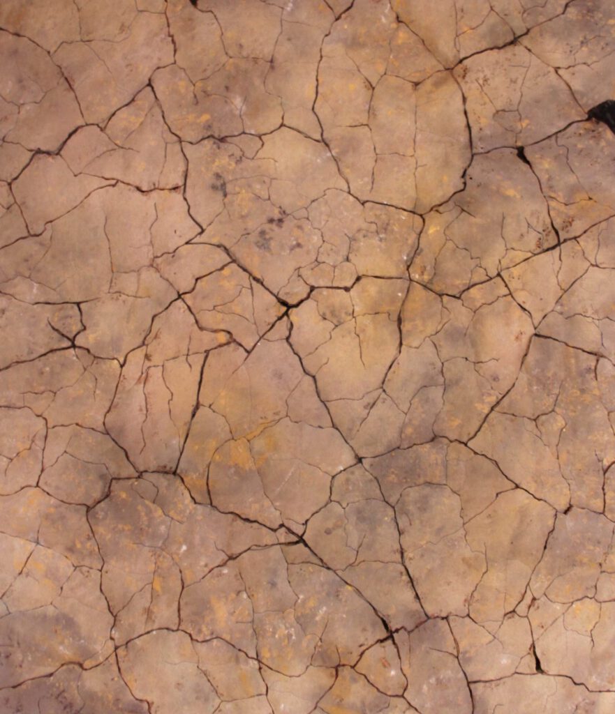 Detail einer rissigen, erdigen Oberfläche in Braun, erscheint einem wie die Dürre.