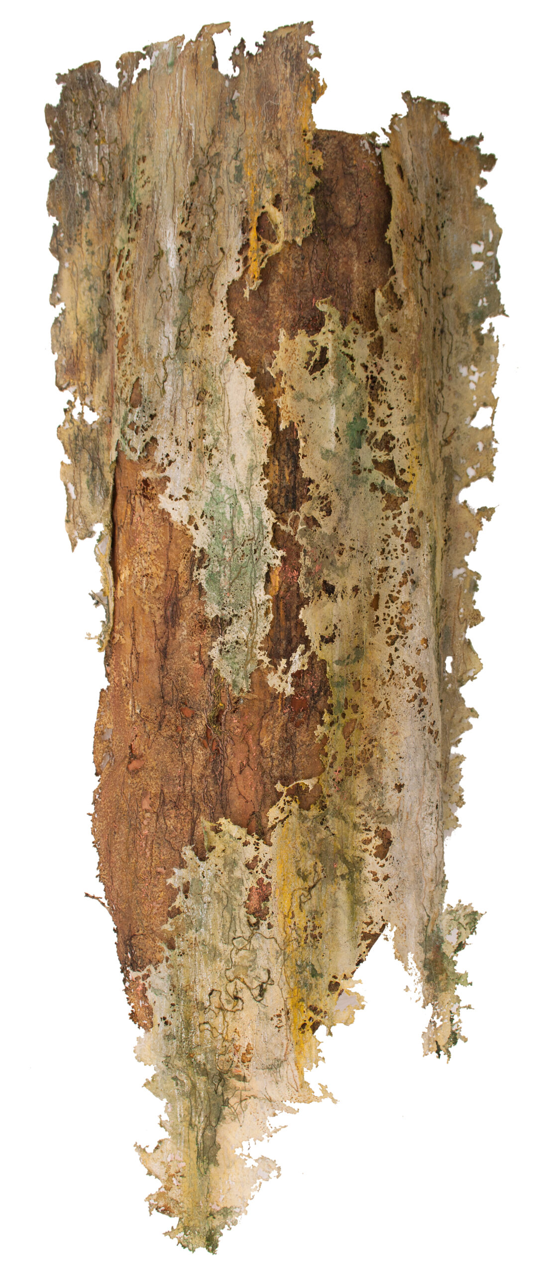 Rindenspiel 2, 75 x 27 x 12 cm, 2025