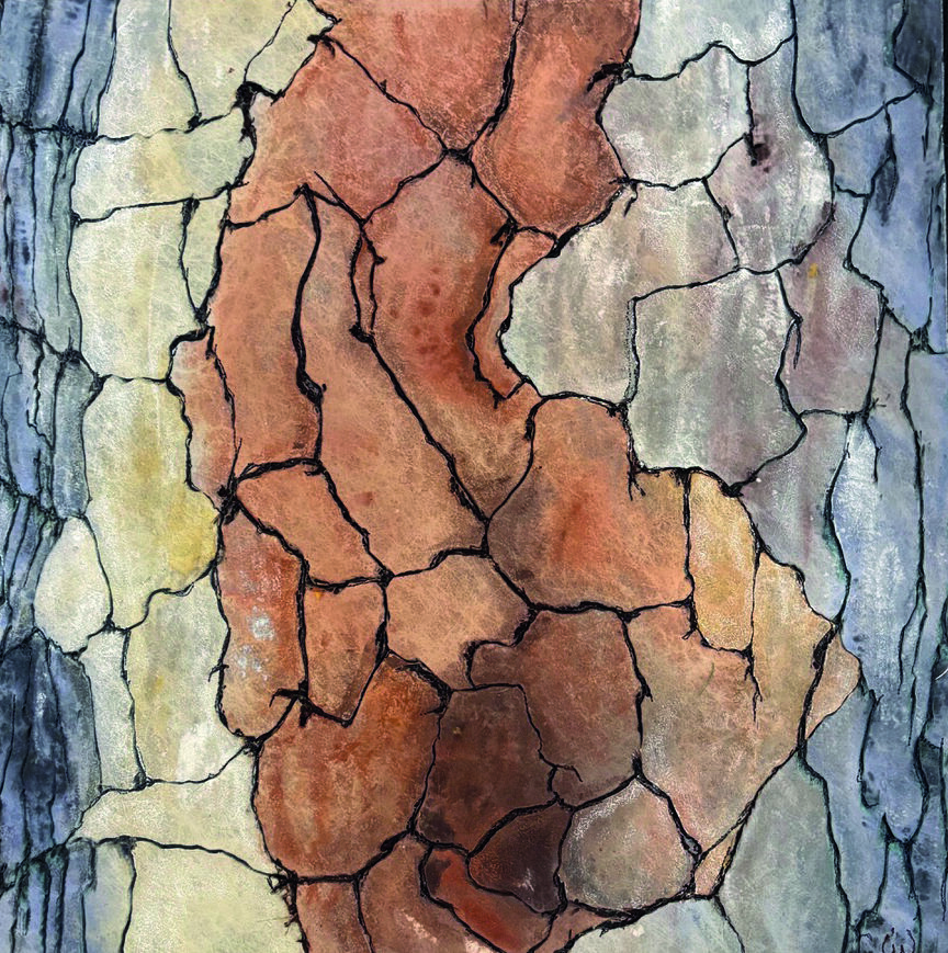 Tree bark 3, 50 x 50 cm, 2025
